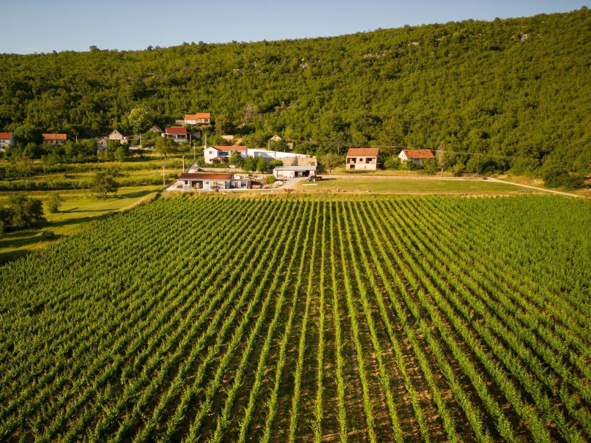 Krolo Villa&Wine Trilj Exteriör bild